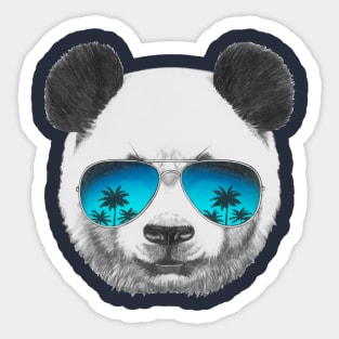 Panda with sunglasses Sticker